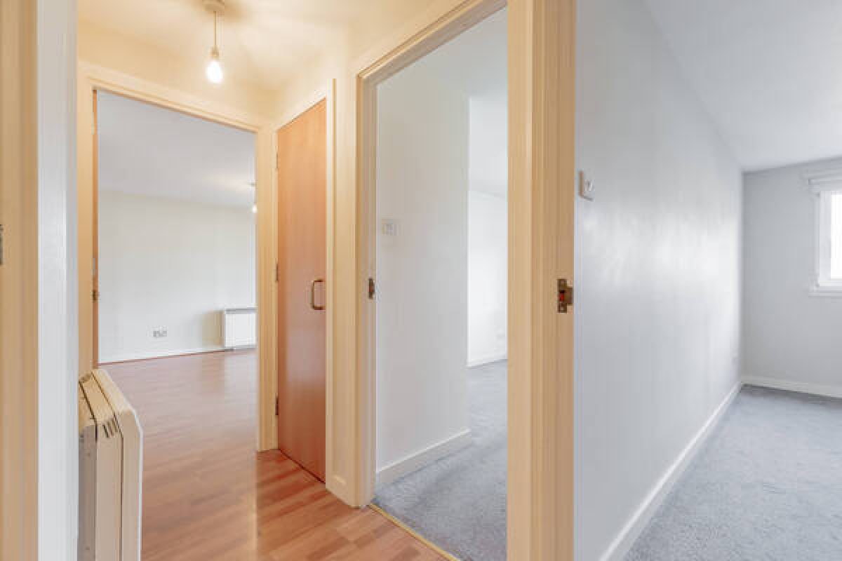 69543 Constitution St 012 1723463539 9668